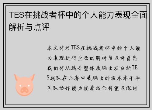 TES在挑战者杯中的个人能力表现全面解析与点评